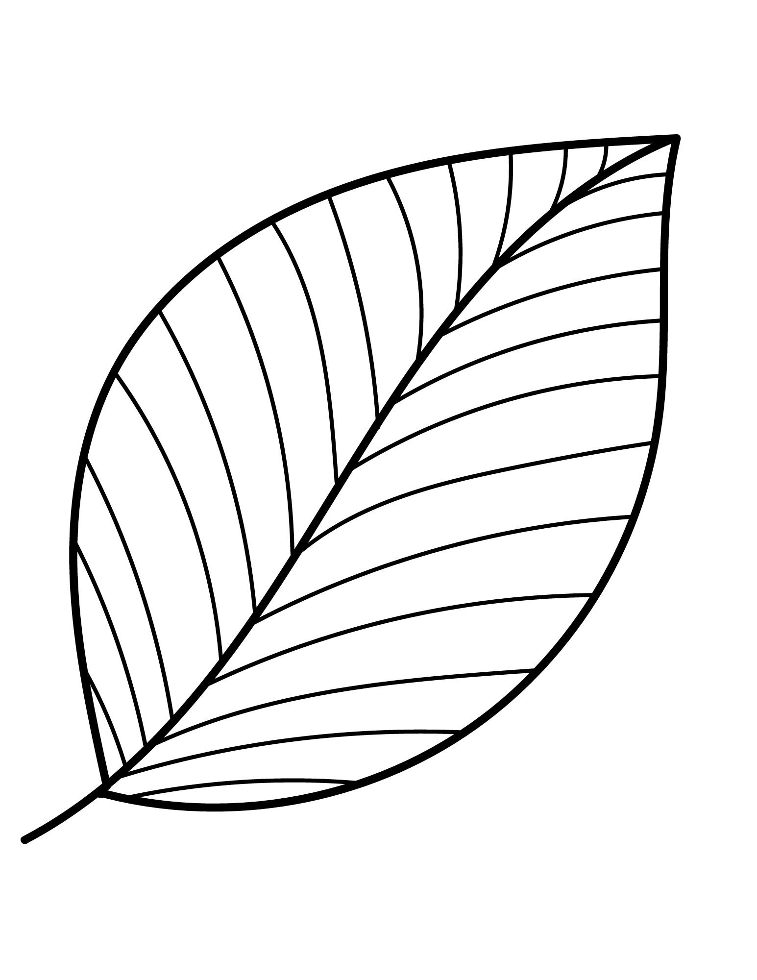 Maple Leaf Template Printable Free