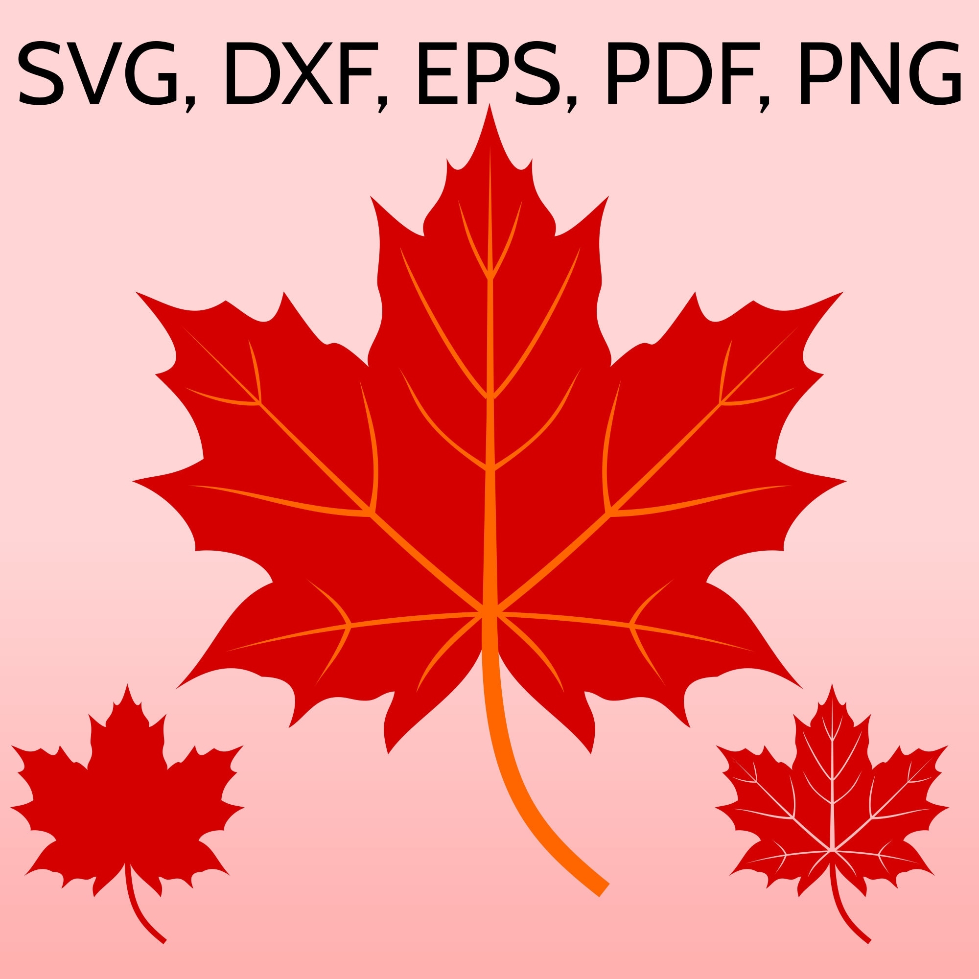 Maple Leaf SVG File For Cricut Fall Leaf Clipart Canadian Maple Leaves DXF Canada Maple Leaf Silhouette Autumn SVG Fall Printable