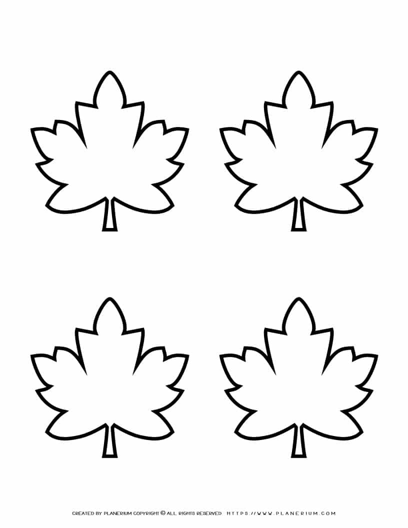 Maple Leaves Template Four Leaves Planerium